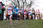 Junior girls 2019 New Balance English Schools Cross Country Champs, Temple Newsam, Leeds. Photo:  David T. Hewitson/Sports for All Pics